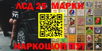 СК Кингисепп