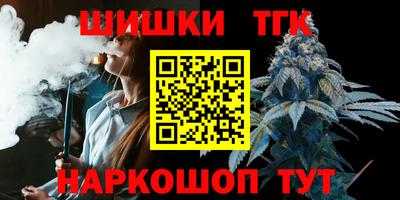 СК Кингисепп