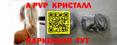 СК Кингисепп