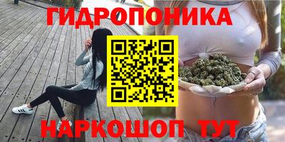 прущие крисы Кимры