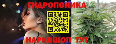 прущие крисы Кимры