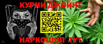 СК Кингисепп