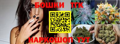 СК Кингисепп