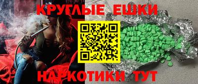 СК Кингисепп