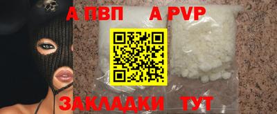 СК Кингисепп