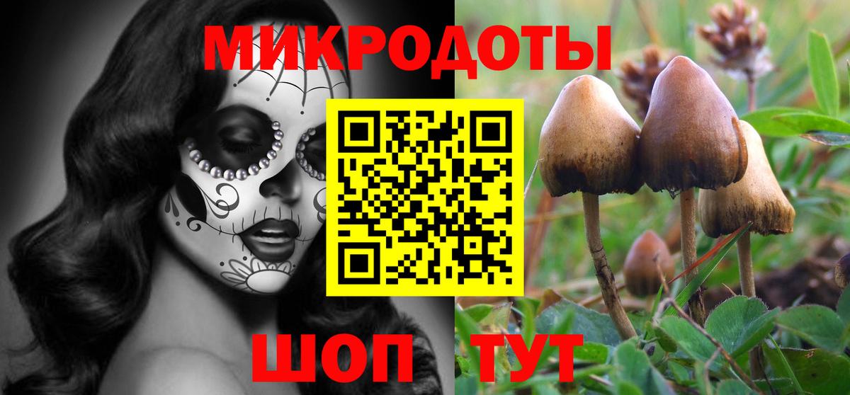 Псилоцибиновые грибы GOLDEN TEACHER Котельники