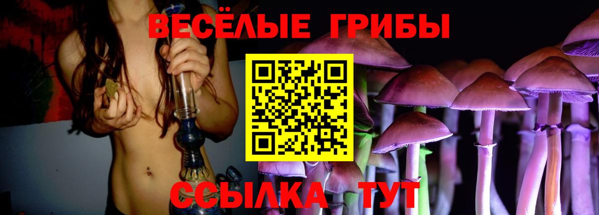 Галлюциногенные грибы прущие грибы  Вход с VPN  Галлюциногенные грибы мицелий  купить  цена  Котельники 